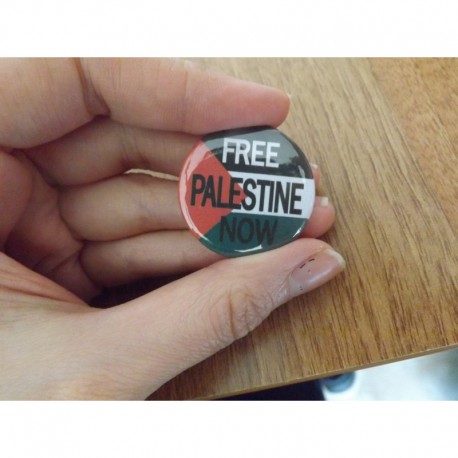 Free Palestine Now badge button pin chapa