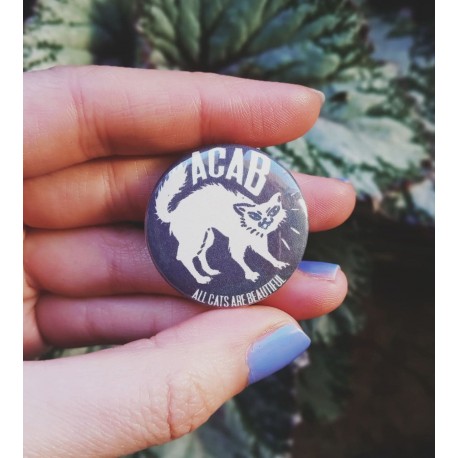 acab all cats are beautiful badge pin button chapa