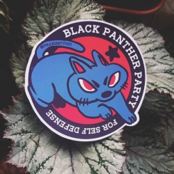 Black panther party for self defense leftist sticker