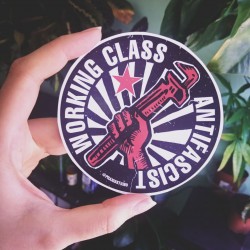 Working class antifascist antifa sticker