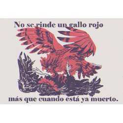 No se rinde un gallo rojo...