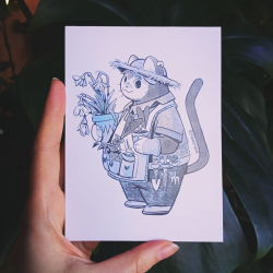 Florist cat postcard